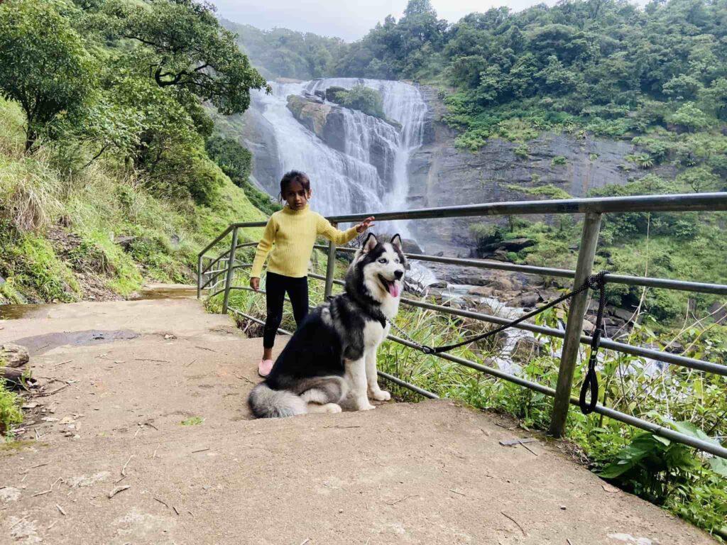 Mallalli falls in coorg - sakleshpur border